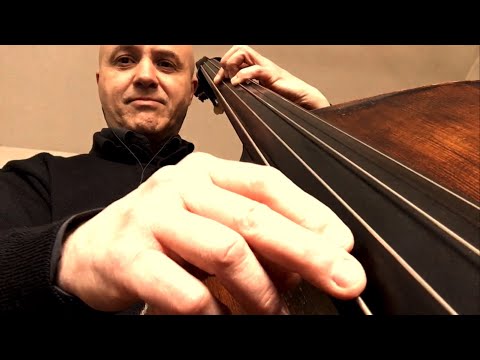 No Moon At All in Dm Bass Line Play Along Backing Track