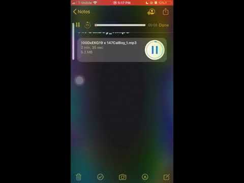 100 Deek X G19 X 147Calboy Unreleased