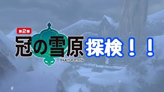 【ポケモン剣盾】冠の雪原解禁！！【ポケモンソードシールド】