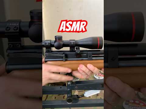 ASMR Beeman Raider 6.35mm