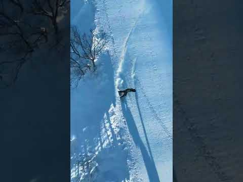 神立スノーリゾート【ミルキーウェイ】をドローンで追い撮り🤙⁡Follow the snowboard with a drone⁡⁡#snowboarding