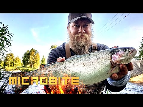 P...a reissu, mutta tulipahan tehtyä