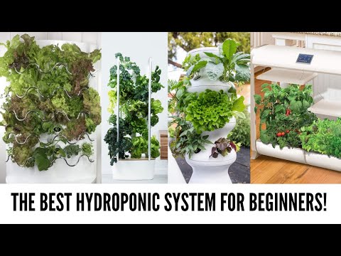What is the Best Hydroponics System for Beginners in 2020?