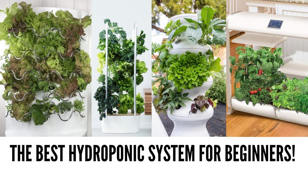 What is the Best Hydroponics System for Beginners in 2020?