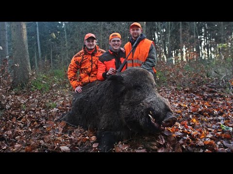 XXL Drückjagd Hunter Brothers | BACKSTAGE Drivenhunt - Jagdkrone