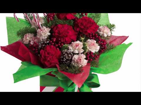 Albany CA  wedding funeral flower shop the golden poppy florist