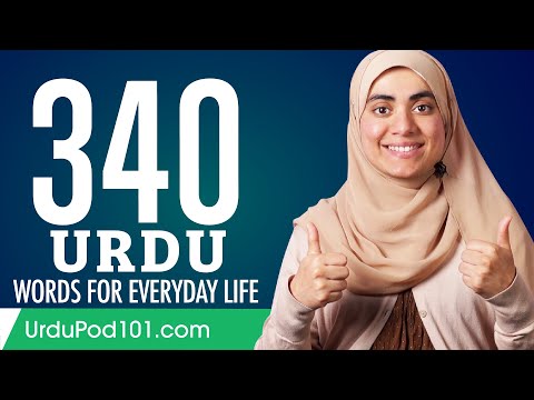 340 Urdu Words for Everyday Life - Basic Vocabulary #17
