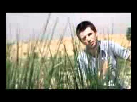 hayalhan hasretin agir geldi 2013 klip hi 53645