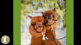 Hidde Ploegh - What We Cannot See We Do Not Know: Immune Recognition Today