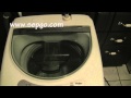 Sepgo Haier Portable Washer HLP21N