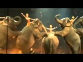 On HBTV CHANNEL 36 RINGLING BRO BARNUM BAILEY CIRCUS