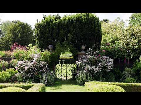 Katie Derham on being ‘slightly obsessed’ with her garden and daily slug patrols | Country Living UK