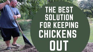 How to keep Chickens off your Patio