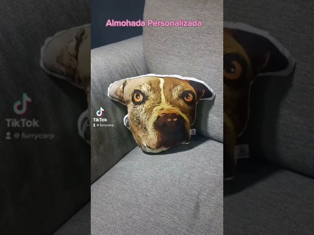 Vídeo relacionado con Eletizy Almohadas Imagen Personalizadas en Forma de Mascota, Almohada Divertida Personalizada con Mascota Personas, impresión de Doble Cara para cumpleaños,Acción de Gracias,Navidad,Halloween (35cm)
