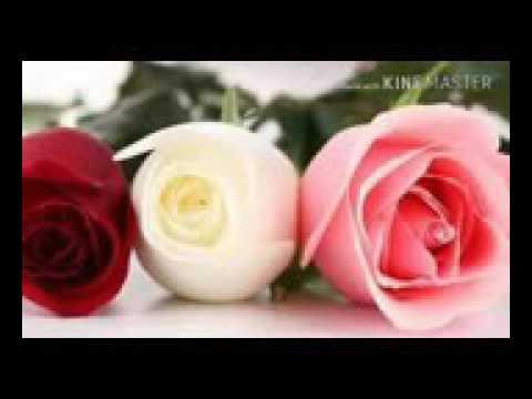 Mo.Ahmed Laat db  After magrib-Jama masjid-Lusaka  14-01-2017