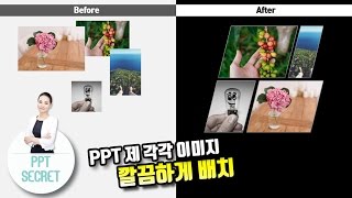 [PPT 시크릿] 김윤미 강사 파워포인트 제 각각 이미지 깔끔하게 배치하기│콘텐츠위드(Contents With)