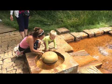 Cestování s dětmi - Přírodní rezervace SOOS