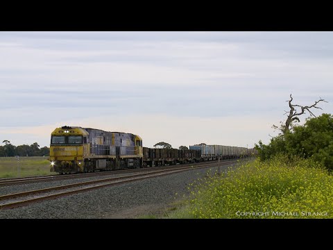 3PM4 Freight Train Stops At Gheringhap (16/10/2020) - PoathTV Australian Railways