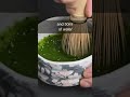How Much Matcha Should You Use Shorts