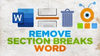 How to Remove Section Breaks in a Word for Mac | Microsoft Office for macOS
