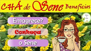CH de SENE - Emagrece? A Verdade sobre o Sene [BENEFCIOS do ch de sene - Para que serve]