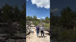 Hiking in Best States: Colorado Rocky Mountains #denver #travel #hiking #outdoors #hike  #thingstodo