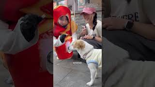 谁懂出去“狗”混的快乐！ #日常vlog#狗狗