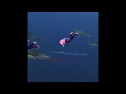 diving guy off bridge | shooting star meme