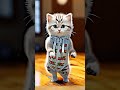 Cute Cat Dance Shorts Viralvideo Trending Ytshorts Bhilai Animaldance
