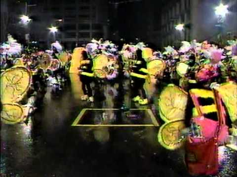 1989 South Jersey String Band - The Bad News Bees