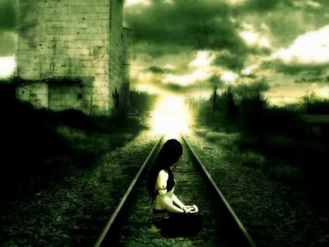 Bergenbauer - Universal Sense