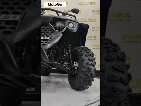 Видео обзор Linhai M170 Eyas