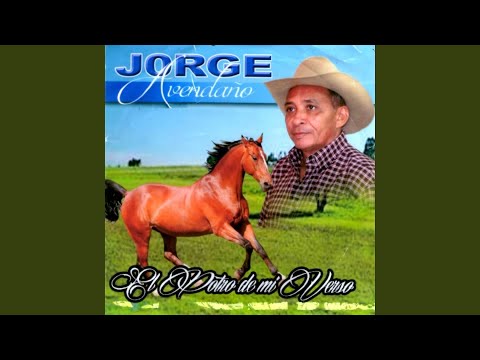 Preguntas Y Regaños