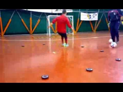 Fitlight Trainer A.S.D. LIONS 2005 POTENZA C5