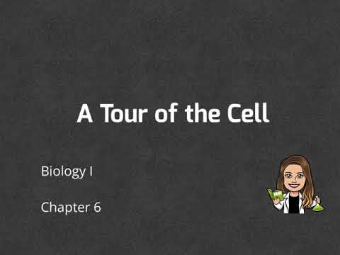 Biology:  A tour of the cell (Ch 6)