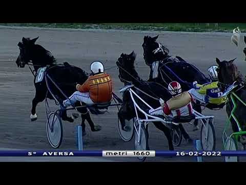 Aversa trotto 16 Febbraio 2022 - 5° Corsa