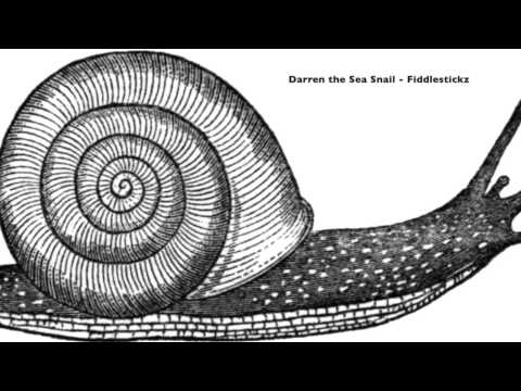 Darren The Sea Snail - Fiddlestickz