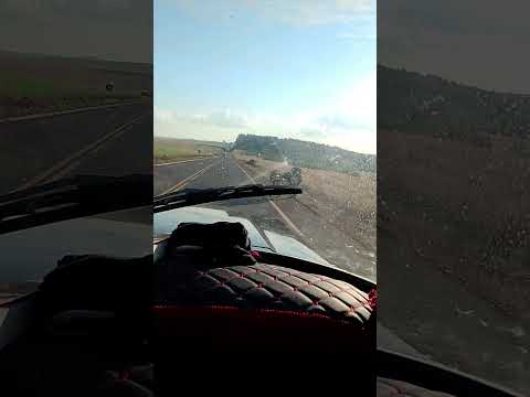 os campos de palmas pr