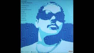 DJ Sneak - Orchestrated Groove