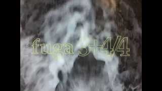 Video fuga 3+4/4