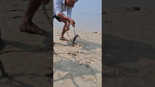 River Fishing Method by Hook in Catfish Hunting #fishinglife # bait