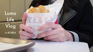 [韓国生活vlog] 韓国在住日本人主婦の平凡で食べ過ぎで平和な日常 / 猫との韓国暮らし