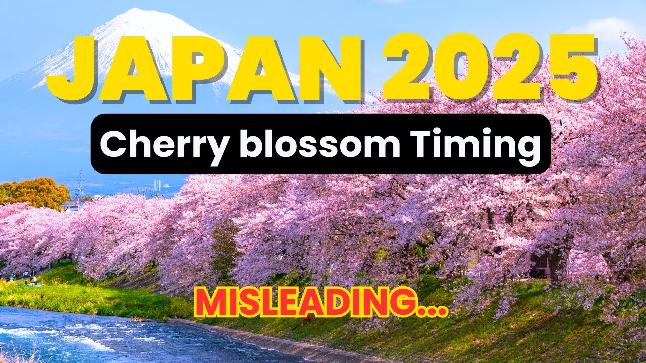 Don’t Miss Japan’s 2025 Cherry Blossom Season! Best Time & Locations!