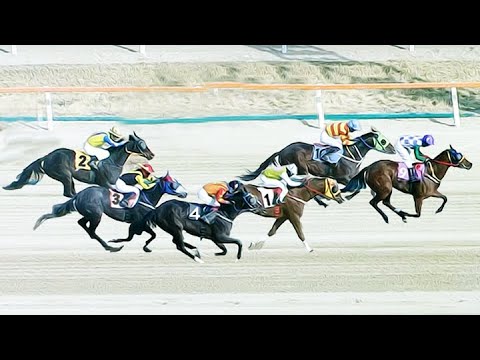 8/30-(토)-손석범-메인한방(쌍19.1배)끝판22.6배/승부21.5배[가야할마필]분명한이유/다적중까지..!!