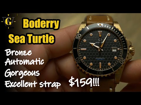Boderry Sea Turtle Bronze - most affordable bronze diver that looks GREAT!!