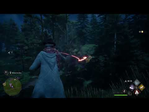 Hogwarts Legacy Walkthrough Gameplay Part 10 HD (Grace Pinch Smedley)