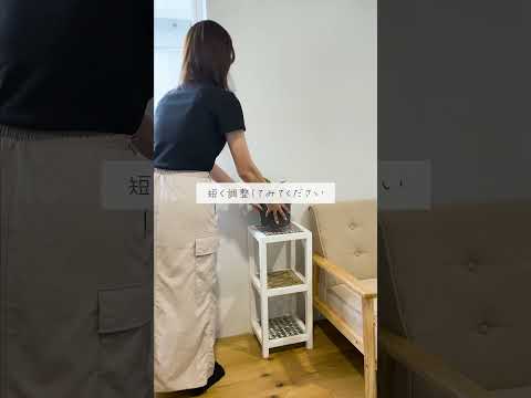 赤いクモ ディプラデニアが枯れた葉を失う理由 斑点 病気の解決策 冬の水やりすぎ