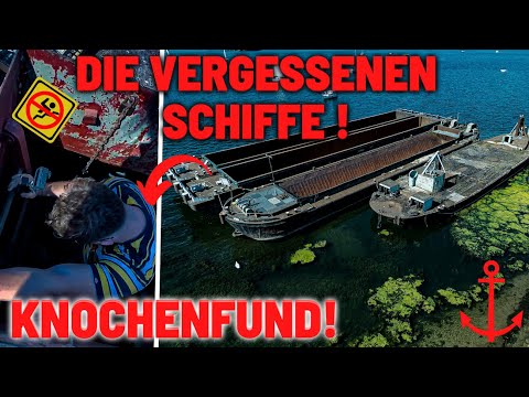 ENDROIT PERDU // Incroyable ! Ces 5 NAVIRES FANTÔMES 👻⛴️ DESCENDENT ici ! 😱