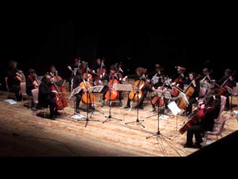 Archisonanti Orchestra giovanile di soli violoncelli