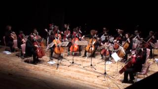 Archisonanti Orchestra giovanile di soli violoncelli